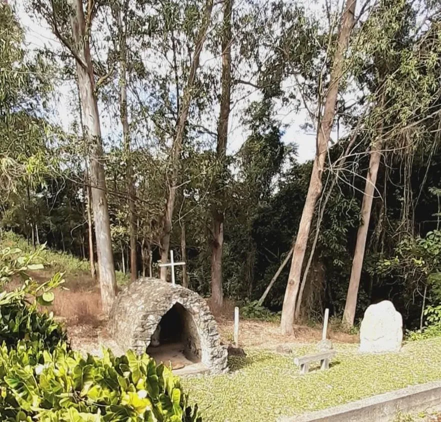 Imagem Vendo excelente fazenda localizada no município de Itaúna/MG, com área total de 94 hectares