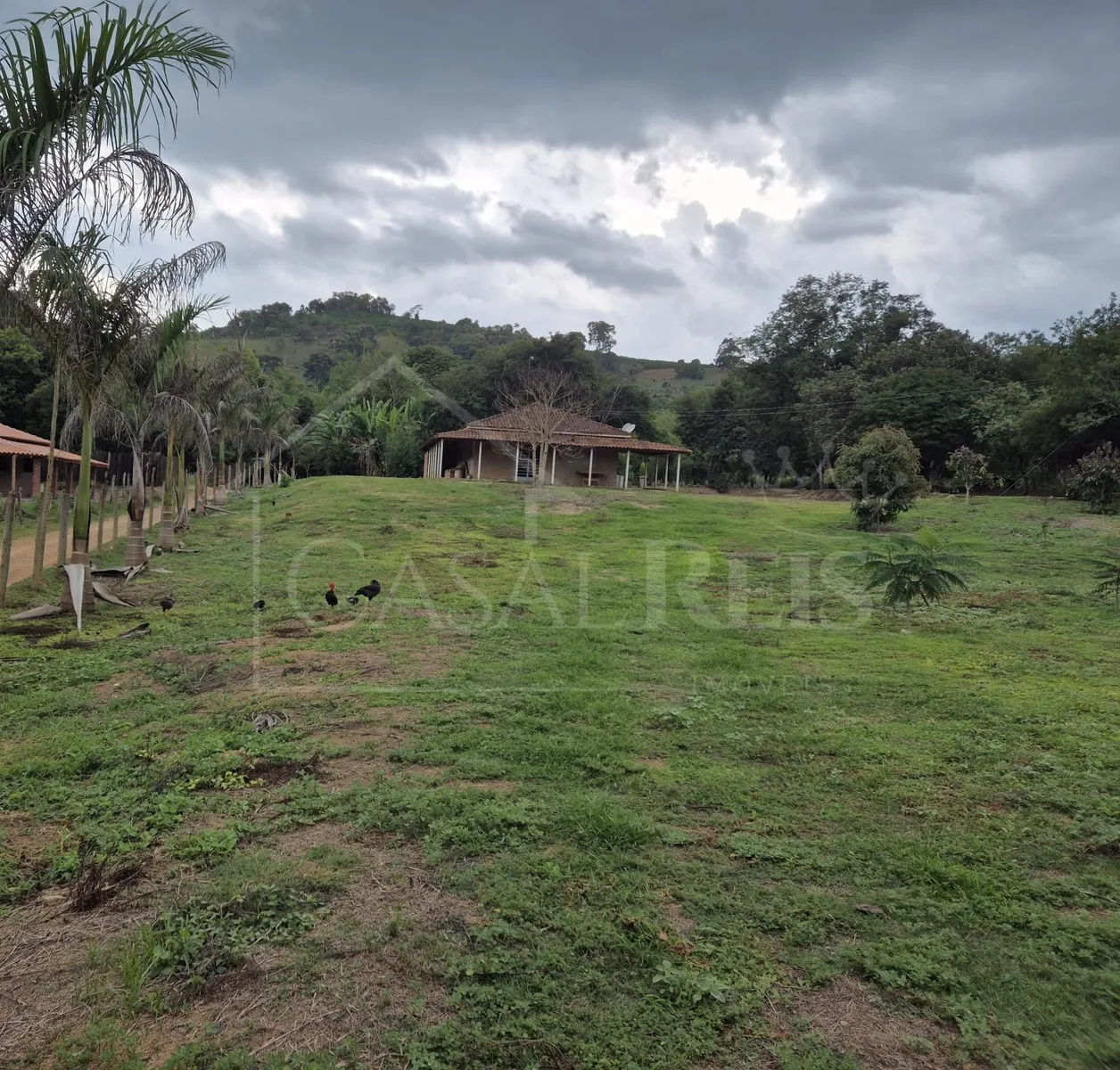 Imagem Chácara 2,4 ha à venda em Área Rural, Bandeira do Sul