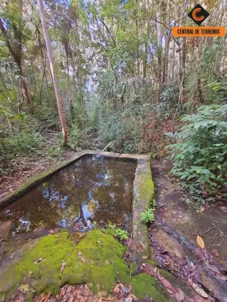 Imagem FAZENDA EM MATA DE SÃO JOÃO