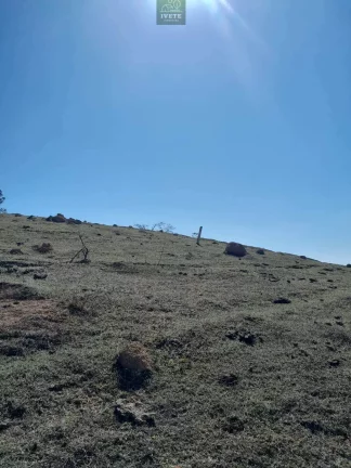 Imagem Terreno incrível para criação de animais e plantio