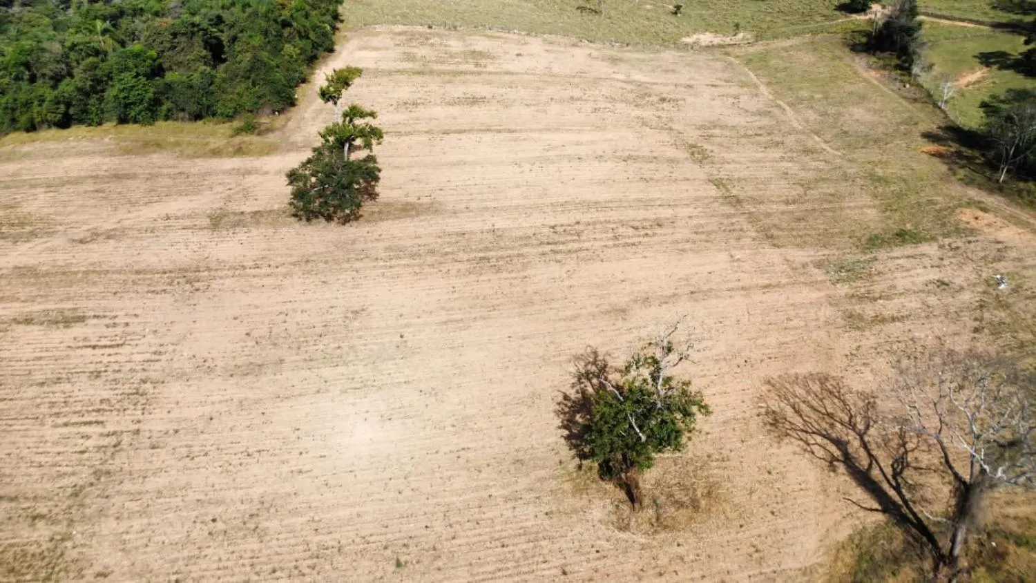 Imagem EXCELENTE TERRENO À VENDA EM OLIVEIRA MG | 16 HECTARES