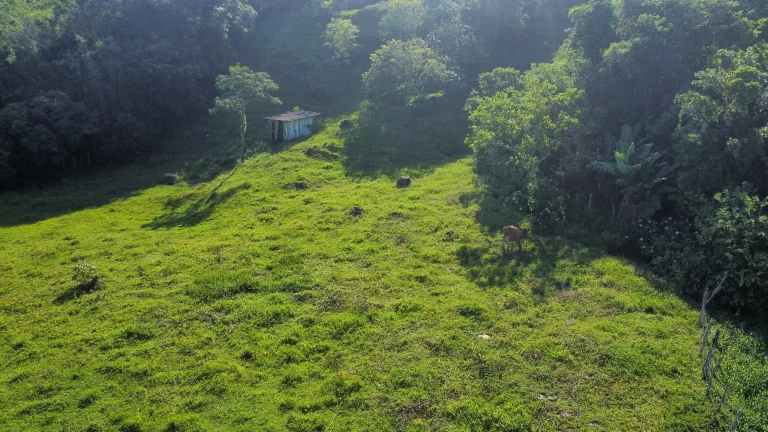 Imagem Área Exclusiva à venda com 12.500 m² no Macacu, Garopaba-SC: Vista para Lagoa e Mar.