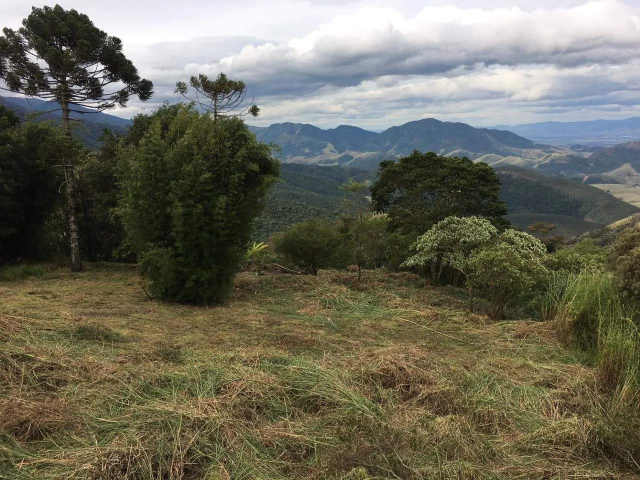 Imagem Terreno à venda 1300M², Piracuama, Pindamonhangaba - SP