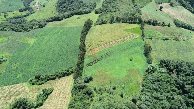 Imagem Área Agrícola para Venda em Lindóia do Sul, Rural