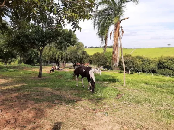 Imagem Fazenda a VENDA, Região Bauru/SP, 41 alqueires