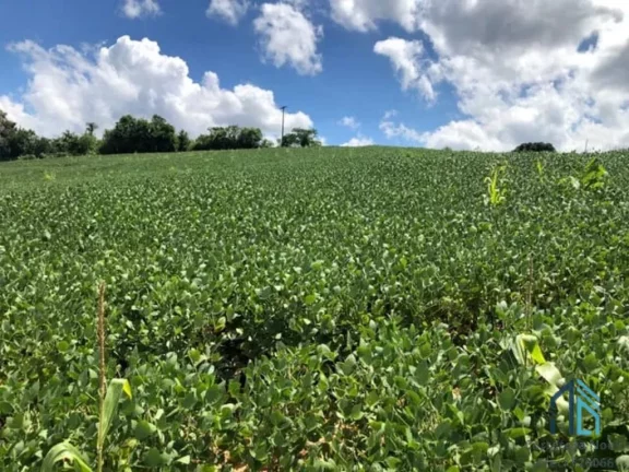 Imagem Área a venda terreno Rural para plantio e chácara na Lapa Paraná