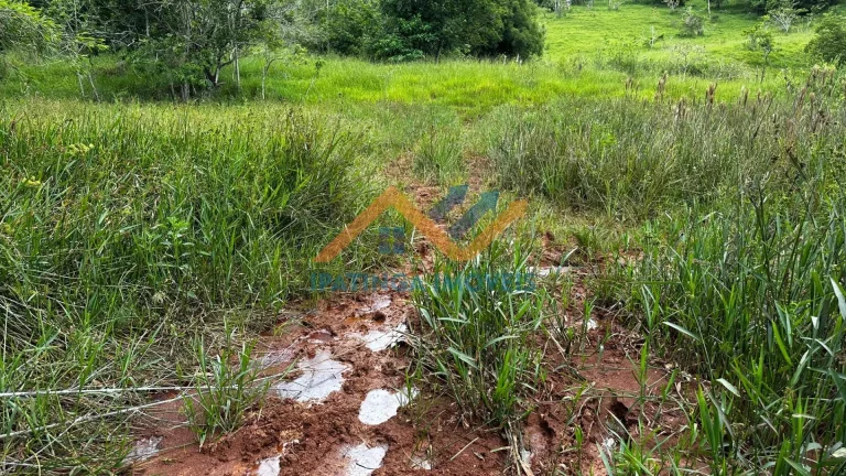 Imagem Terreno à Venda em Santa Cruz - Periquito por R$ 850.000