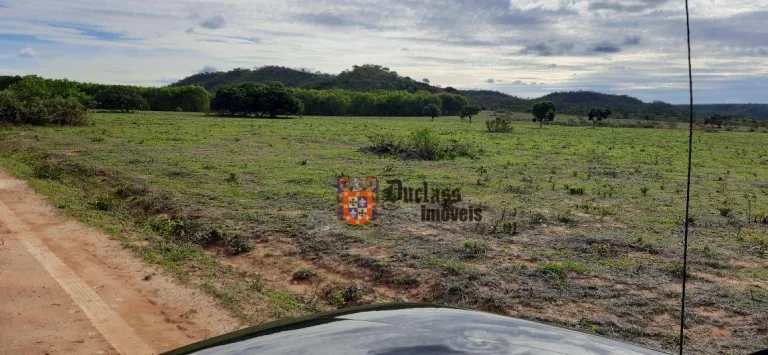 Imagem Fazenda à venda, 1370ha m² por R$ 14.200.000 - Zona Rural - Arinos/MG
