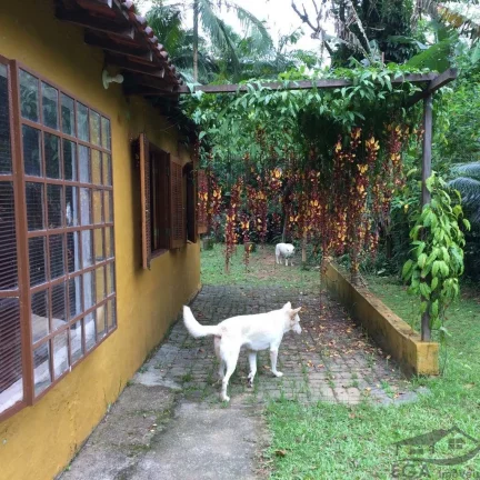 Imagem Casa na Praia de Boiçucanga