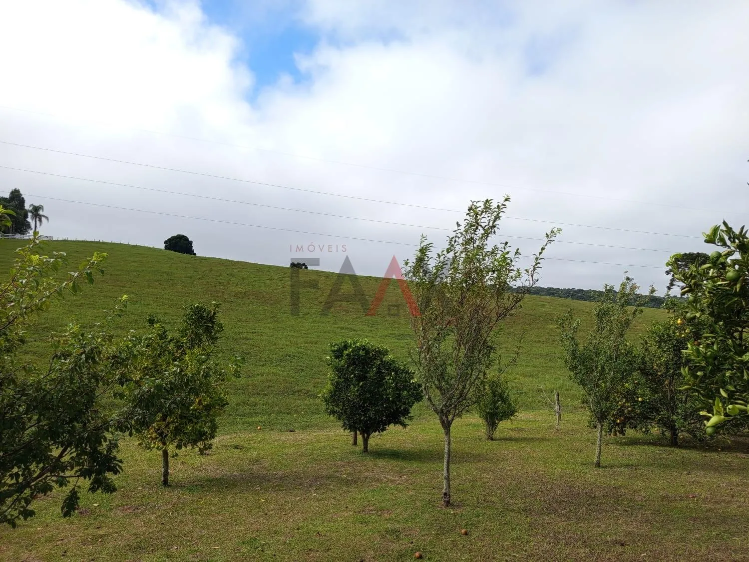 Imagem Chácara com 2.1 alqueires à venda, Guairacá, GUARAPUAVA - PR