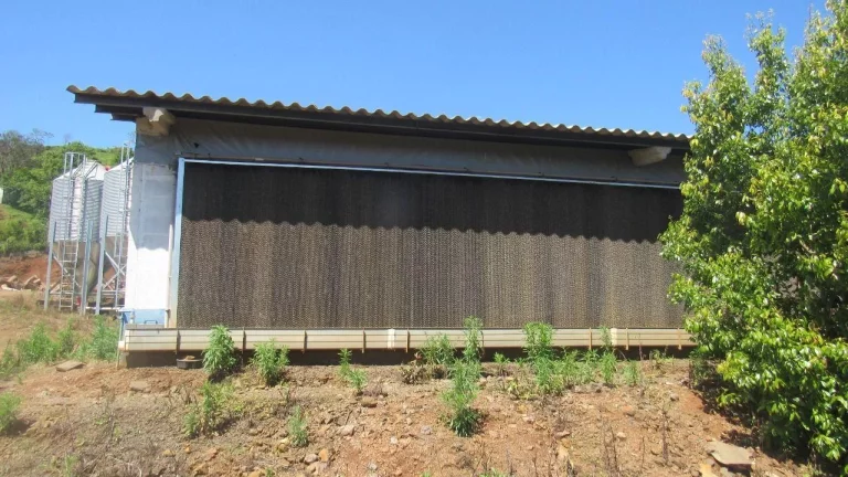 Imagem Área Agrícola para Venda em Arabuta, Rural