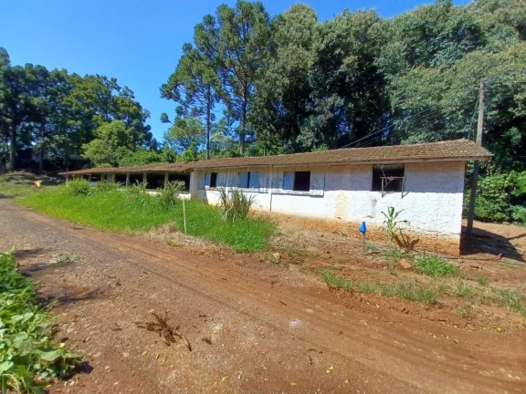 Imagem Área Agrícola para Venda em Concórdia, Interior