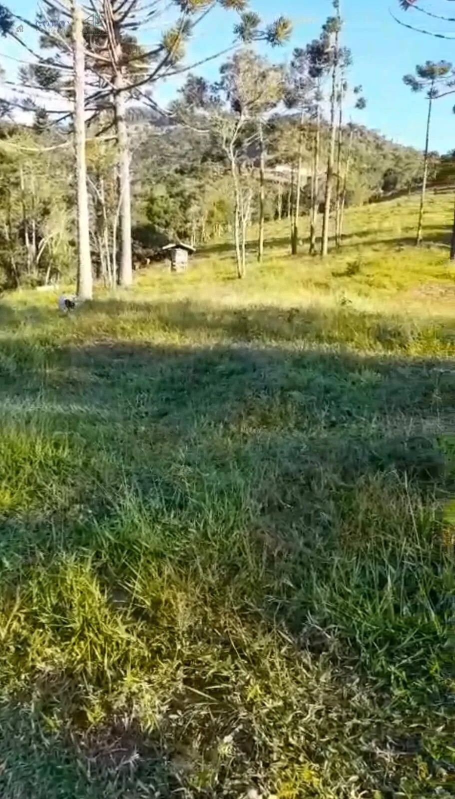 Imagem Sítio à venda com 16 hectares - Região do Rio Manos | Cunha - SP