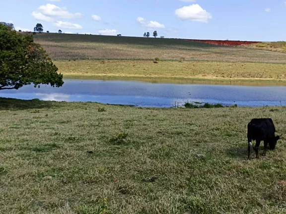Imagem Sitio com água abundante - OPORTUNIDADE no Interior de São Paulo
