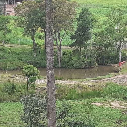 Imagem CHACARA RURAL em ANTÔNIO OLINTO - PR, Antonio Olinto