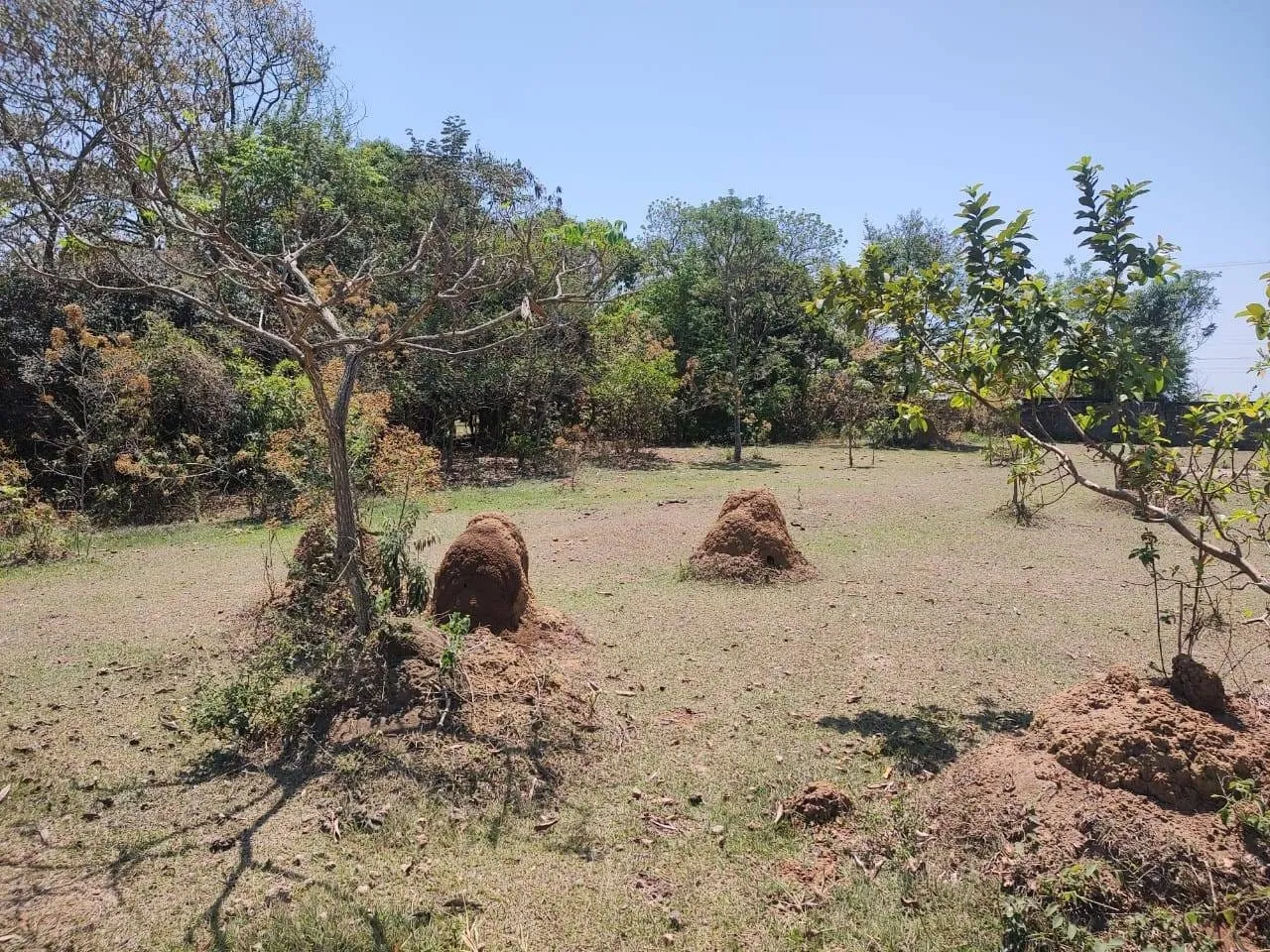 Imagem Chácara à venda, Goiabal, Pindamonhangaba, SP