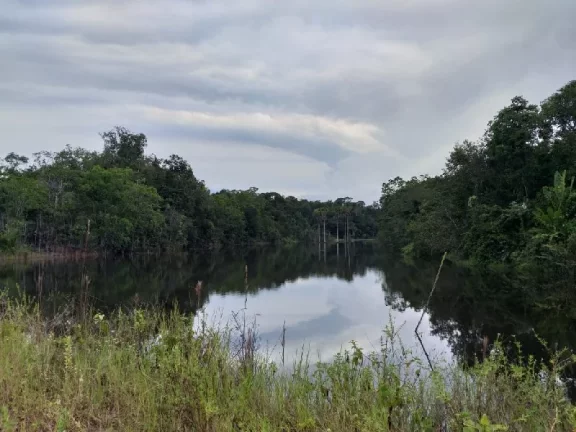 Imagem Oportunidade de adquirir uma grande área , em Rio Preto da Eva . com 15 mil hectares , escriturado e registrado