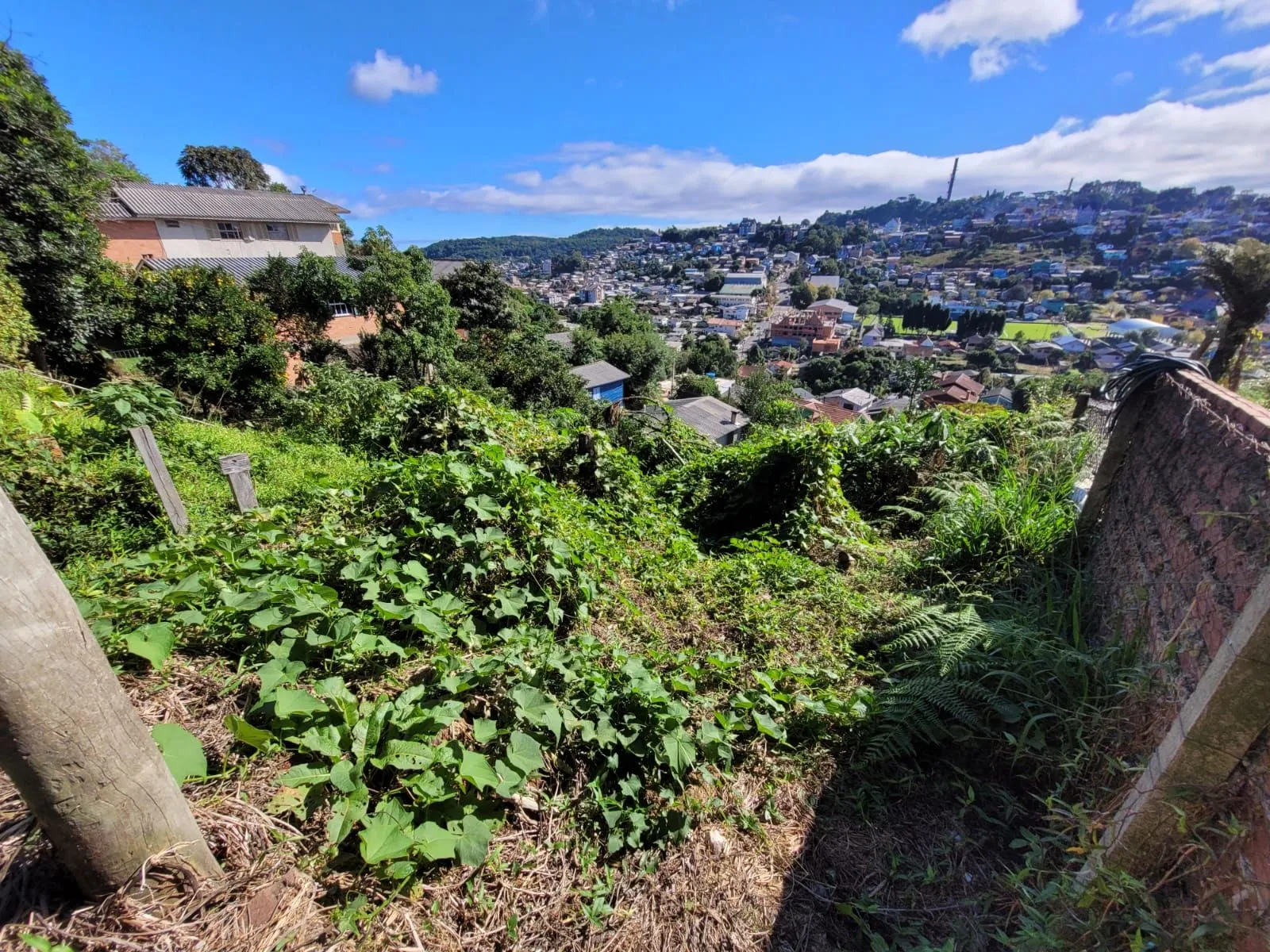 Imagem Lote à venda em Gramado, Piratini, 426m2
