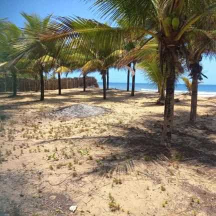 Imagem TERRENO CASSANGE - LAGOA E MAR