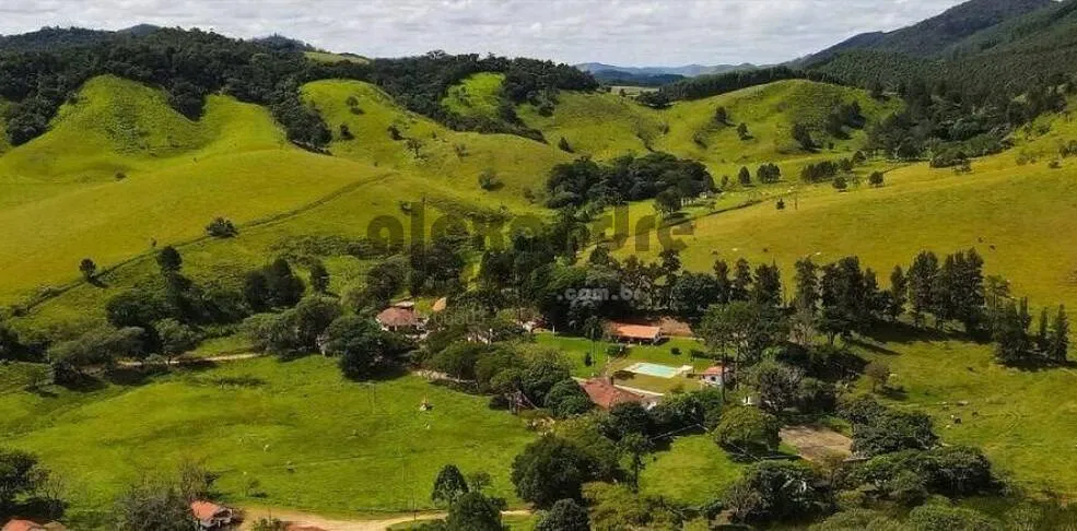 Imagem Fazenda Produtiva e Infraestrutura Completa em 130 Alqueires