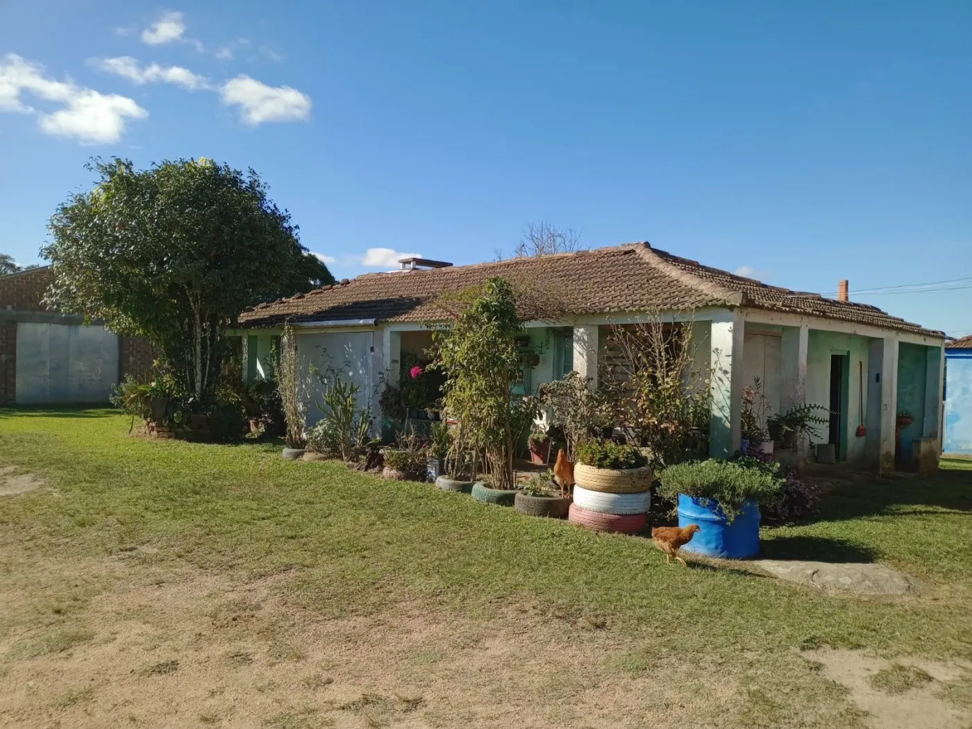 Imagem Sítio para Venda em Canguçu, zona rural, 3 dormitórios, 1 banheiro, 3 vagas
