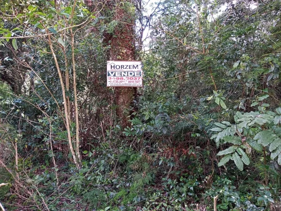 Imagem Lindos terrenos (2), belíssima mata nativa, privativo, Águas Claras