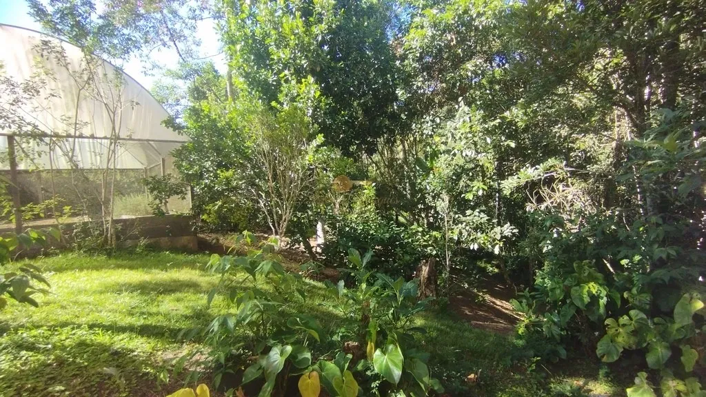 Imagem Terreno em Condomínio para Venda em Teresópolis / RJ no bairro Três Córregos