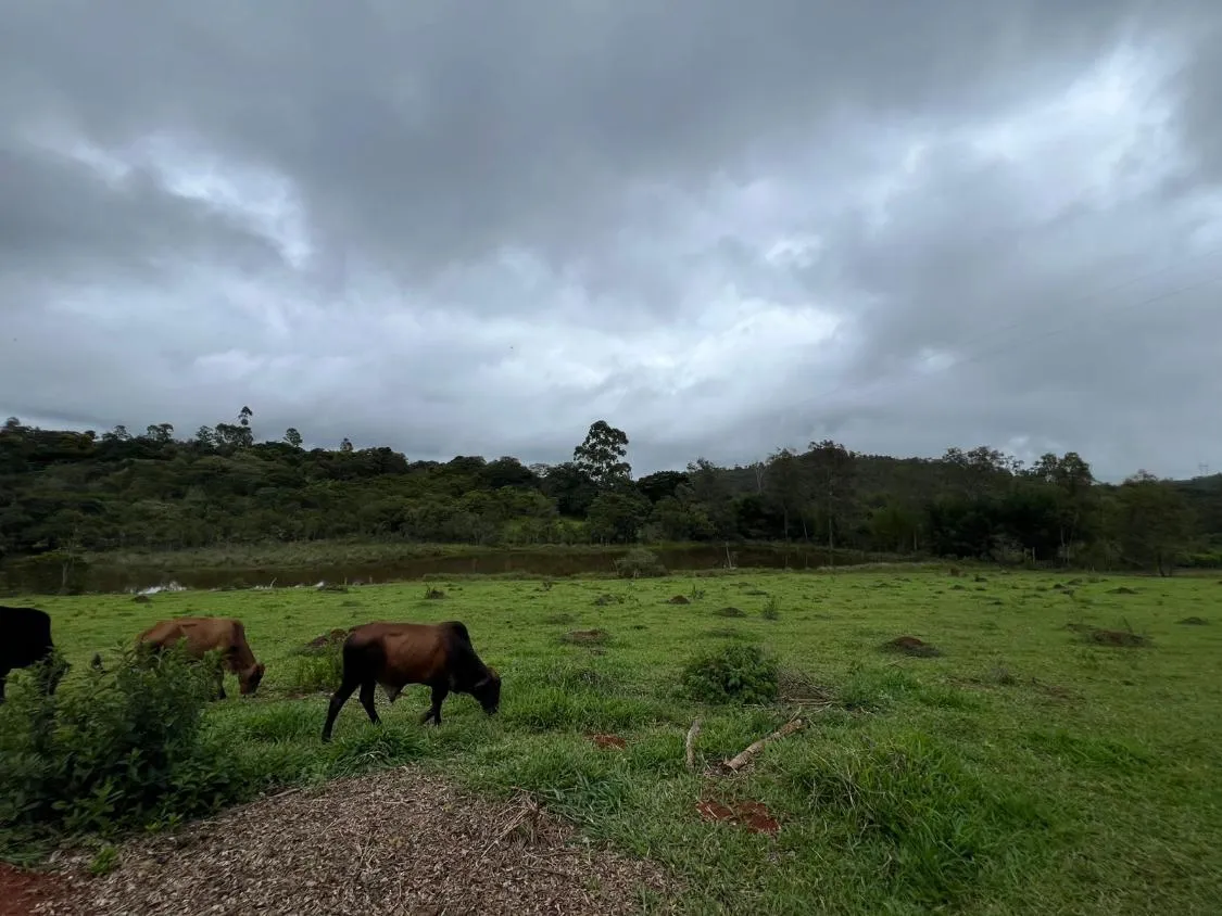 Imagem SÍTIO À VENDA EM ITATIAIUÇU/MG - Área total de 40.000 m² (4 hectares) .