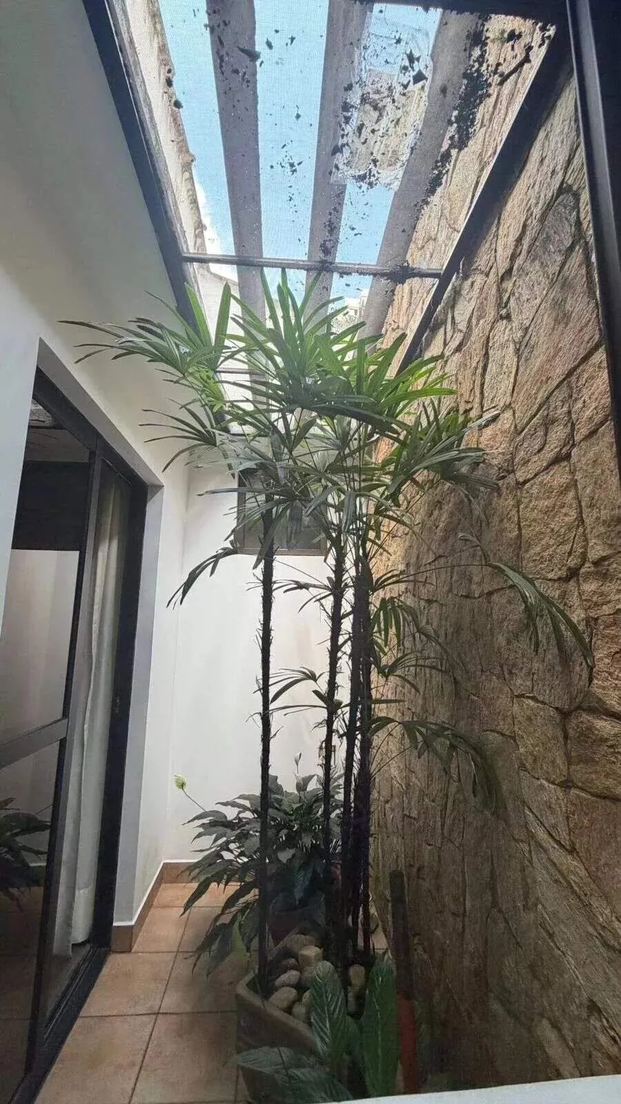 Imagem Casa térrea 3 dormitórios e 4 vagas - Vila Curuçá - Santo André