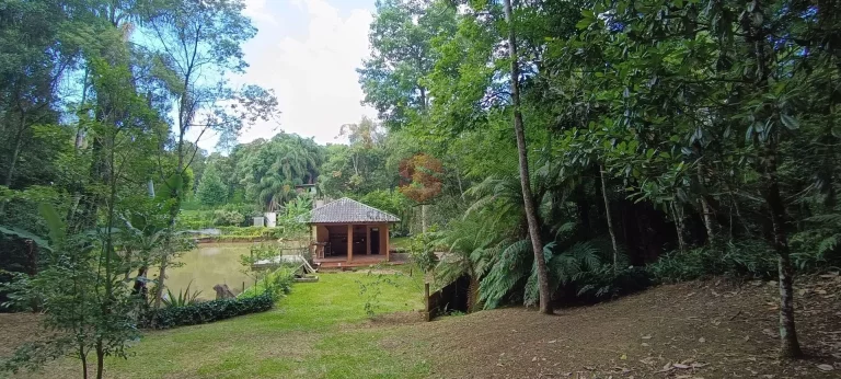 Imagem Chácara em Jardim Rondinha, Campo Largo/PR
