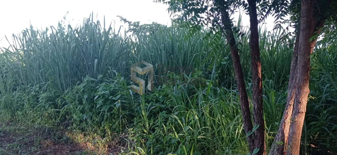 Imagem Fazenda à venda - 700000m² - Floriano-PI