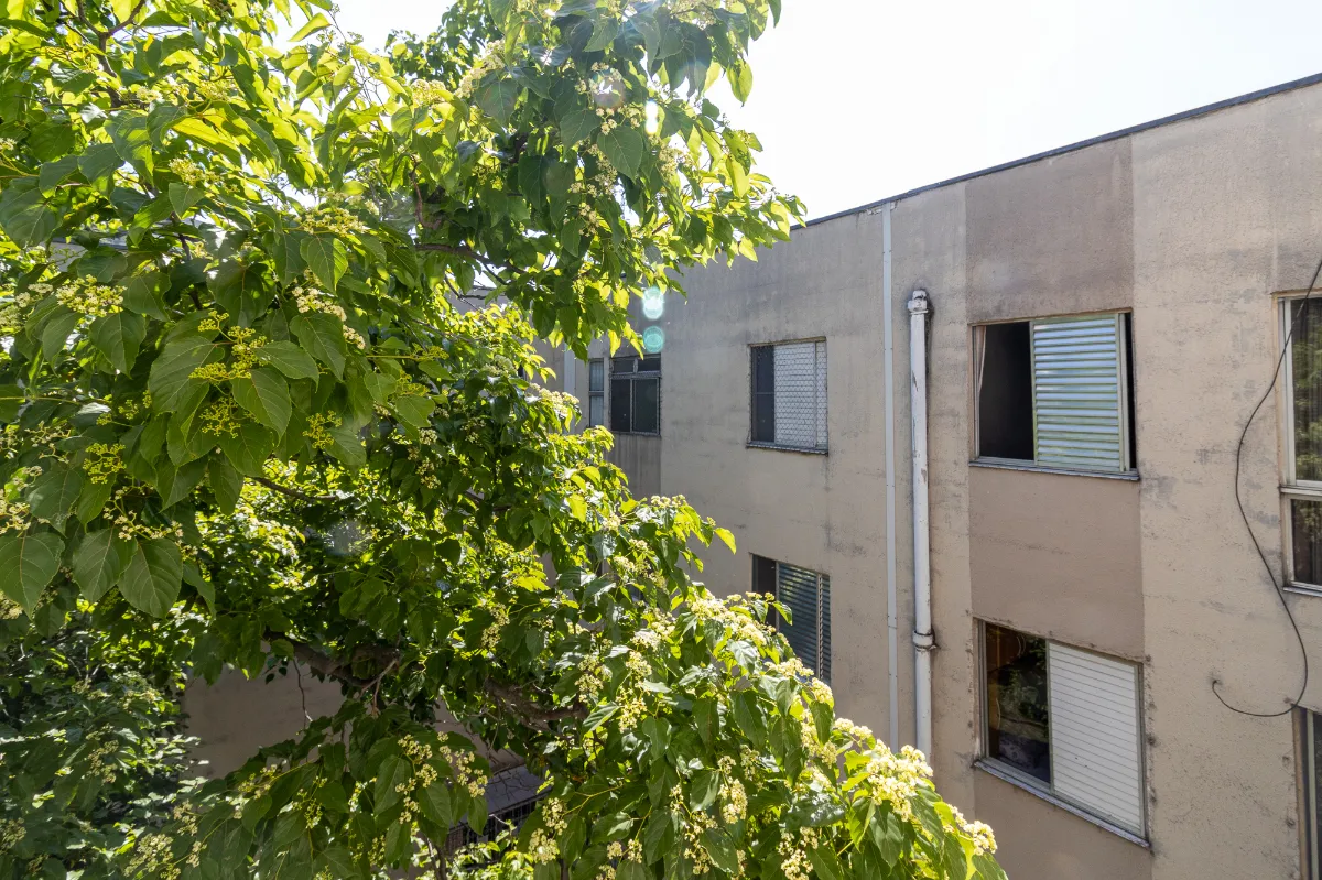 Imagem Apartamento para venda em Jardim Felicidade (Zona Oeste) com 2 quartos, 47m2