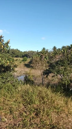 Imagem ÁREA RURAL PRÓXIMA À SERRA GRANDE