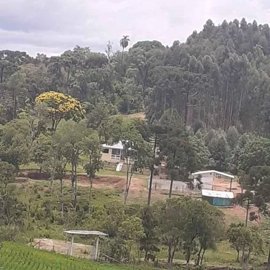 Imagem CHACARA RURAL em ANTÔNIO OLINTO - PR, Antonio Olinto