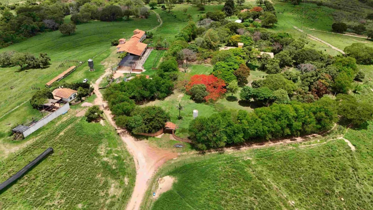 Imagem FAZENDA À VENDA - MORRO DA GARÇA (MG) 165 hectares de área total,