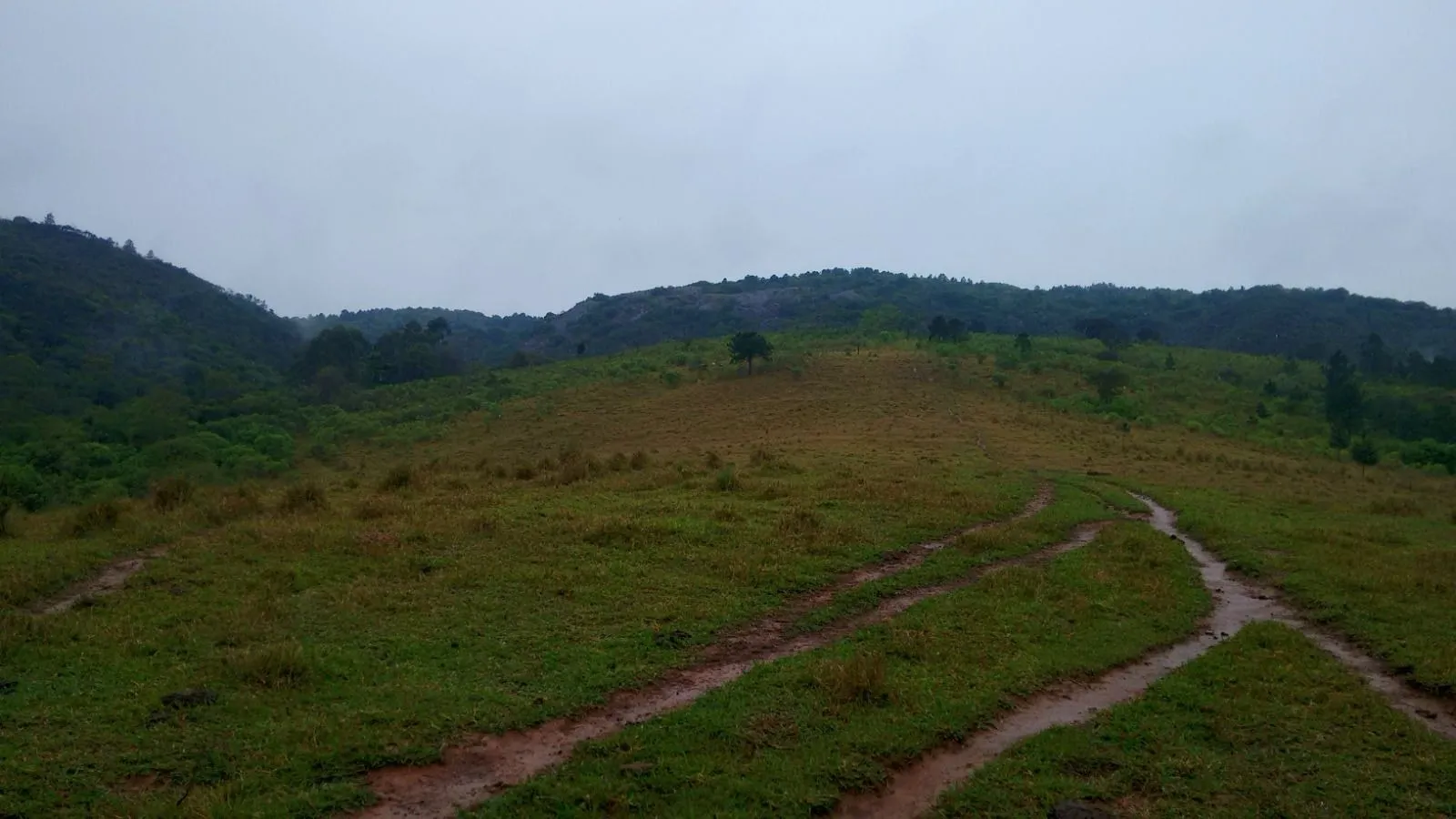 Imagem Oportunidade: Sítio com Muito Verde e Água de Nascente