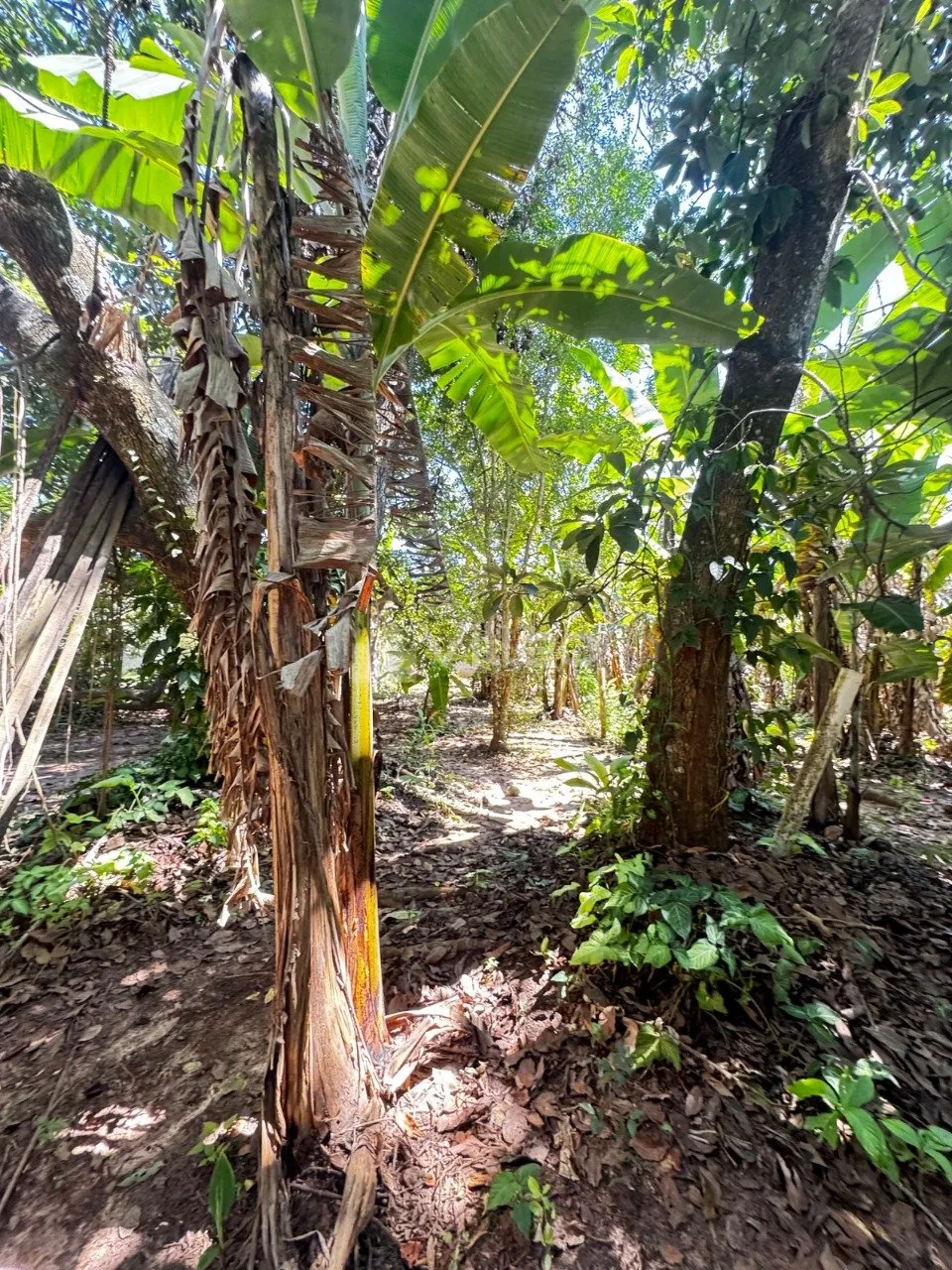 Imagem A área total disponível é de aproximadamente 4.000 m², com possibilidade de desmembramento em lo...