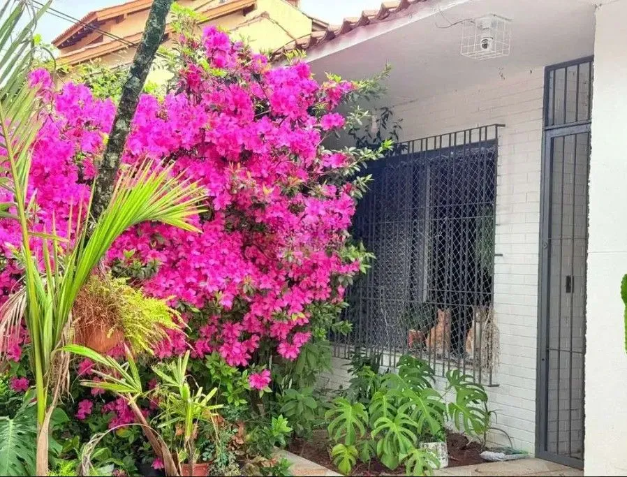 Imagem Casa com 3 dormitórios e edícula nos fundos no bairro Nonoai.
