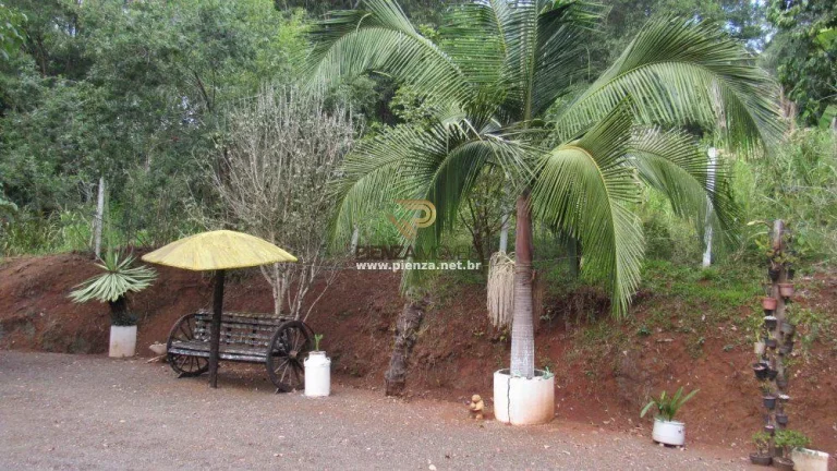 Imagem Sítio / Chácara para Venda em Alto Bela Vista, Rural