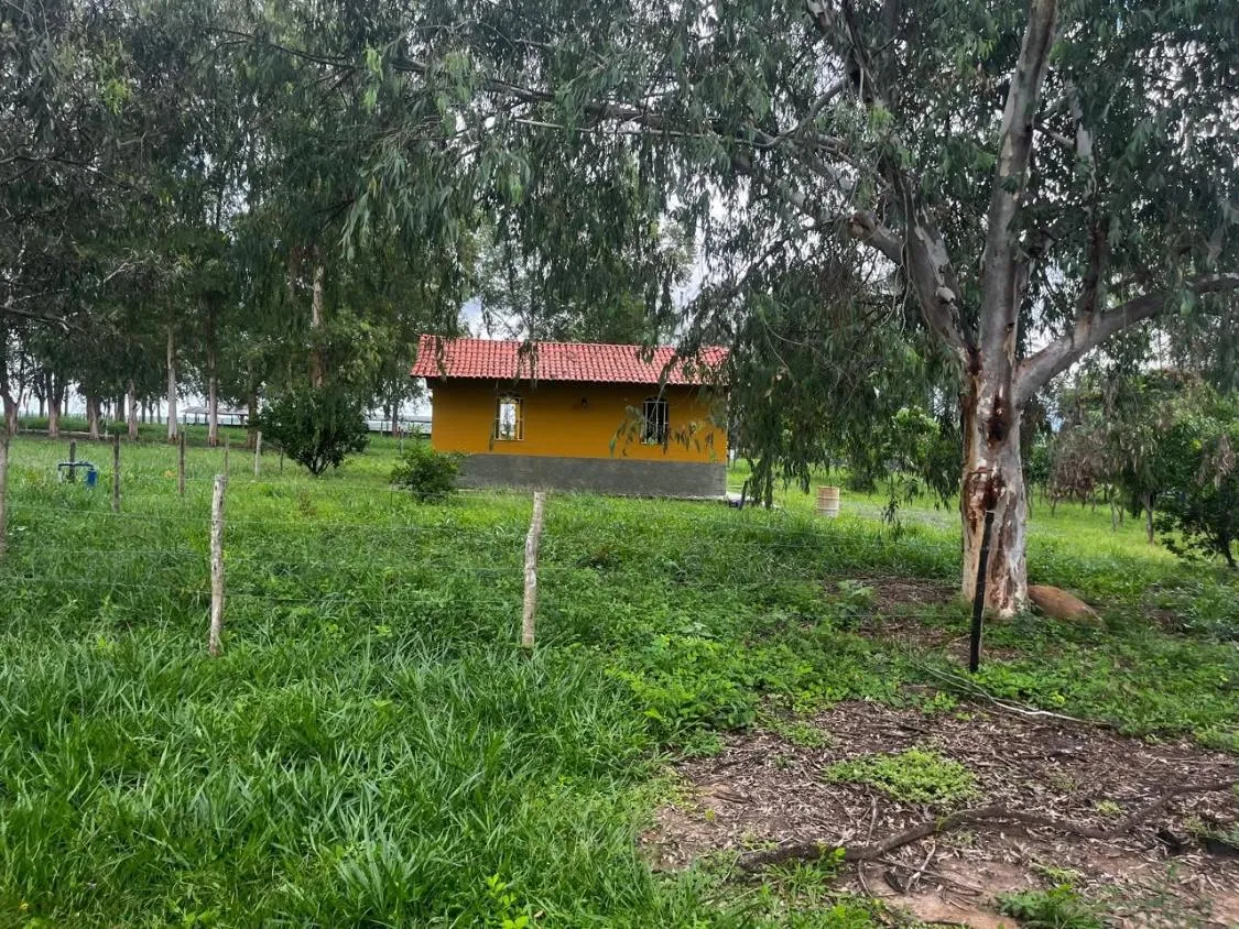Imagem FAZENDA À VENDA ? PORTEIRA FECHADA / BUENÓPOLIS/MG área total de 223 hectares