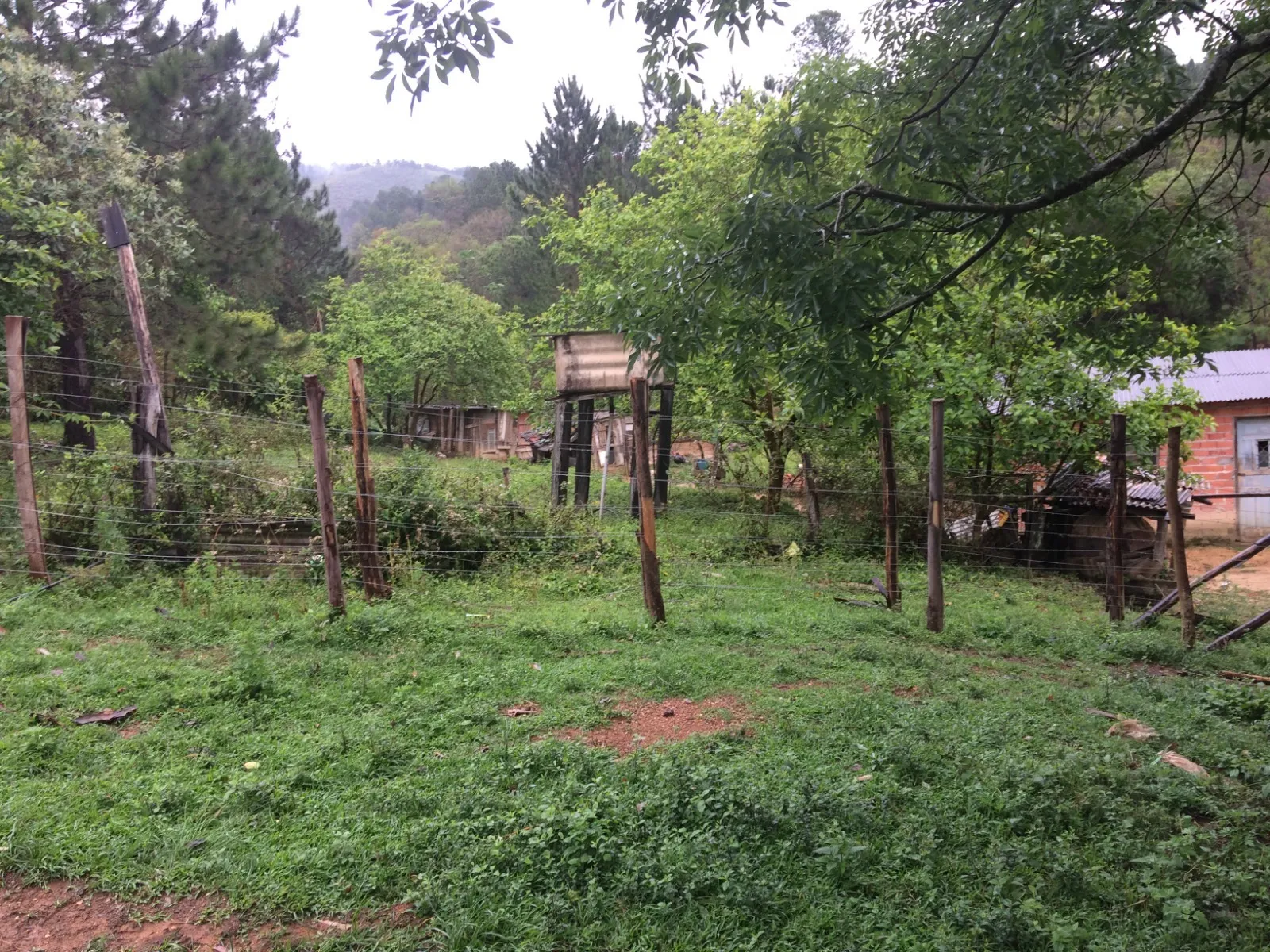 Imagem Oportunidade: Sítio com Muito Verde e Água de Nascente