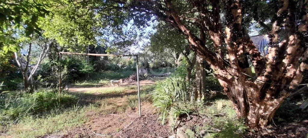 Imagem Terreno em Teresópolis