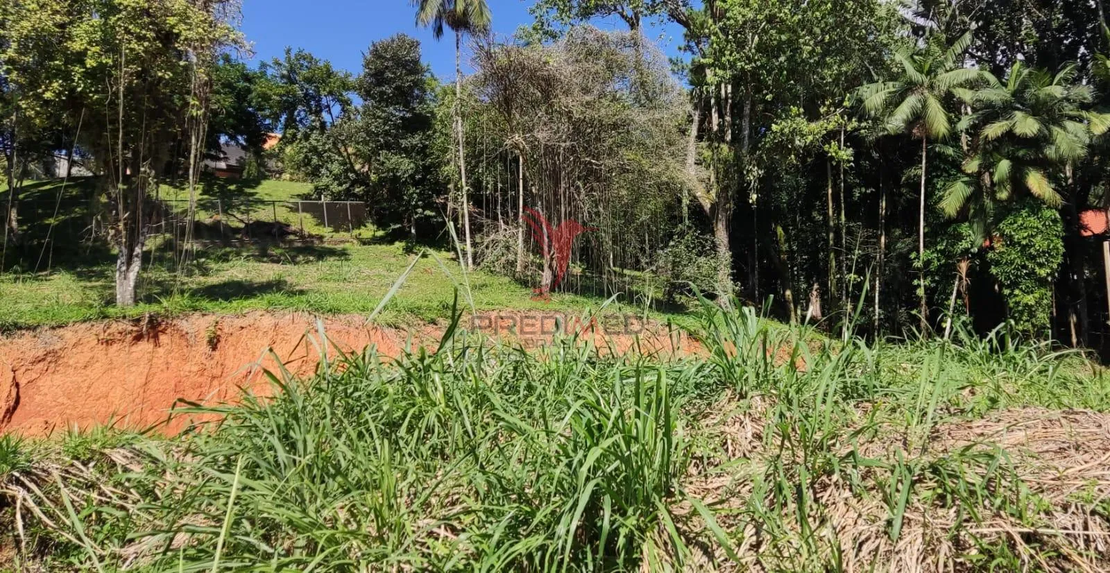 Imagem Terreno localizado no Badenfurt terreno comercial com 1962 m²