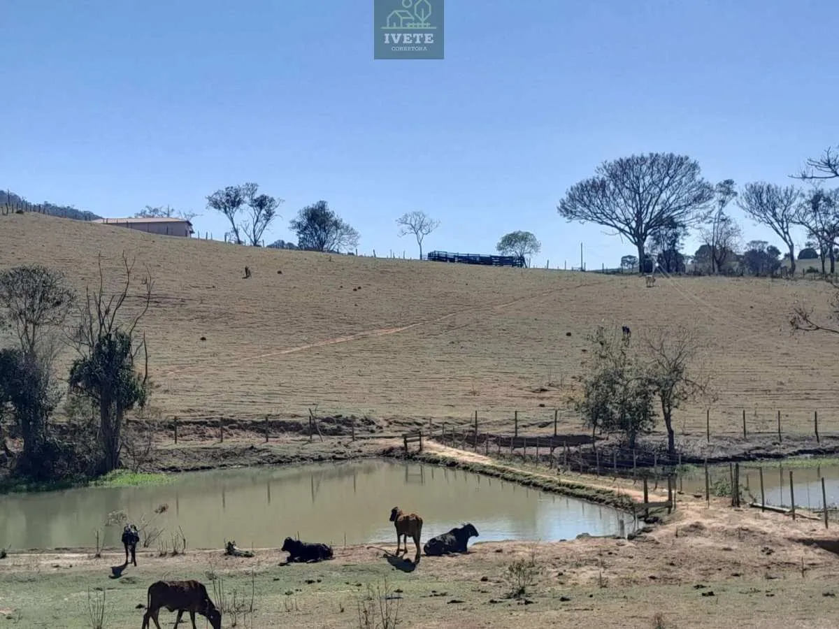 Imagem Terreno incrível para criação de animais e plantio