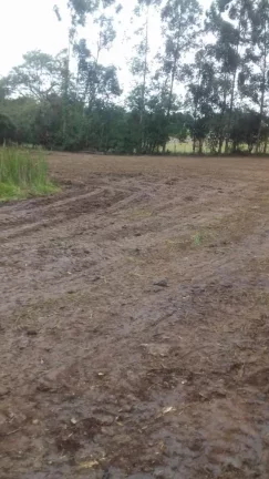 Imagem Terreno excelente a venda para Chácara com 8 mil m² no asfalto - em Quadra