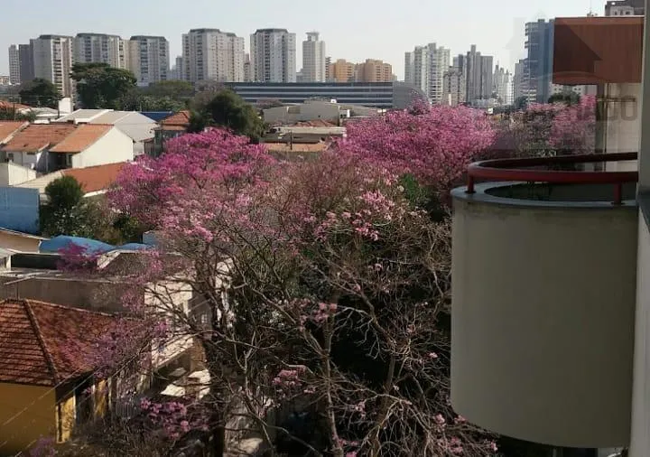 Imagem Apartamento para Venda em Santo André / SP no bairro Vila Santa Tereza