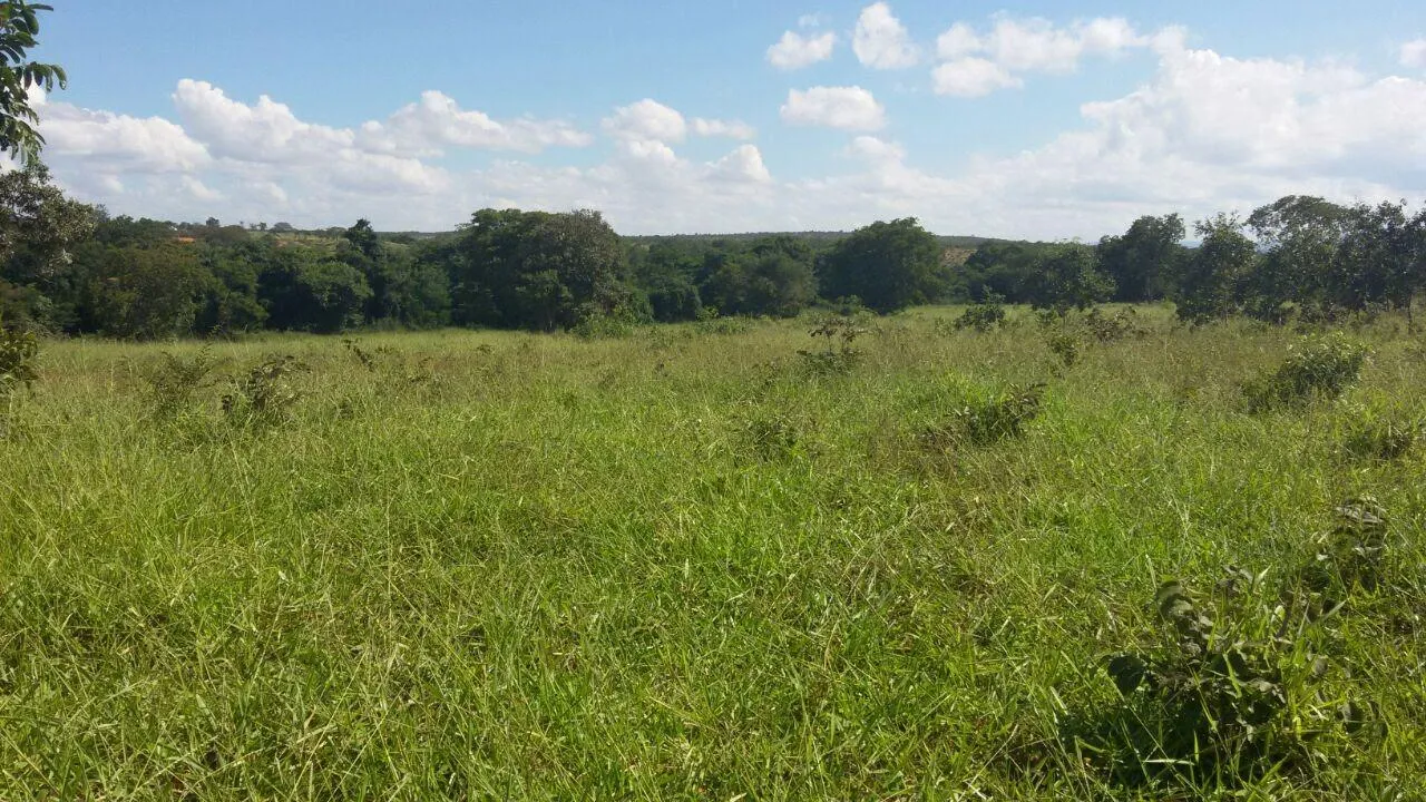 Imagem Oportunidade Imperdível: Fazenda de 1.272 Hectares em Augusto de Lima