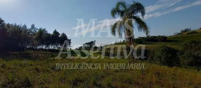 Imagem Exclente chacara de 2,3 hectares em Lomba Grande, Novo Hamburgo