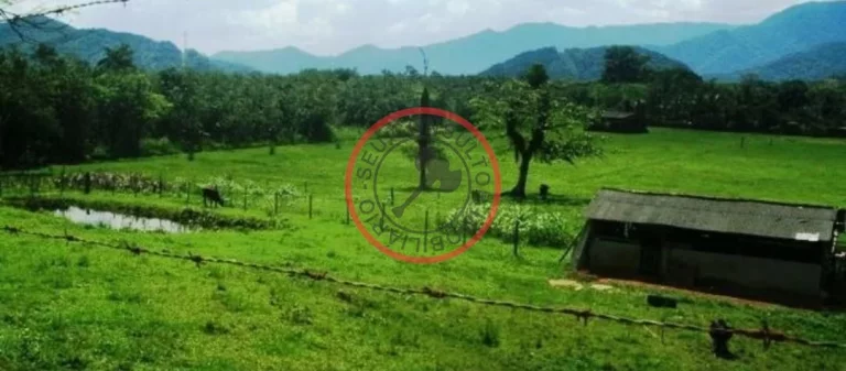 Imagem FAZENDA COM 55 MIL METROS DE AREA UTIL EM SAO SEBASTIAO