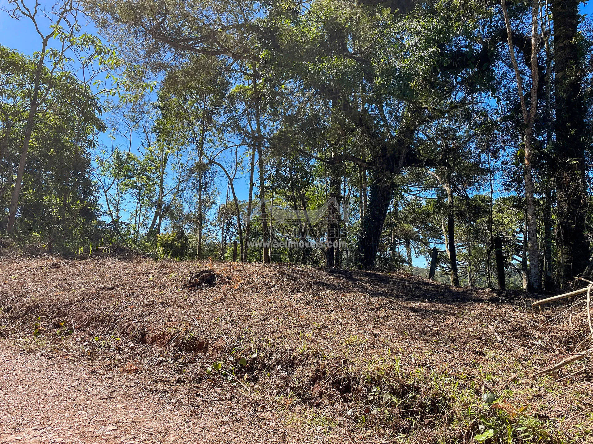 Imagem Terreno à venda em Campos do Jordão - Excelente opção para investimento